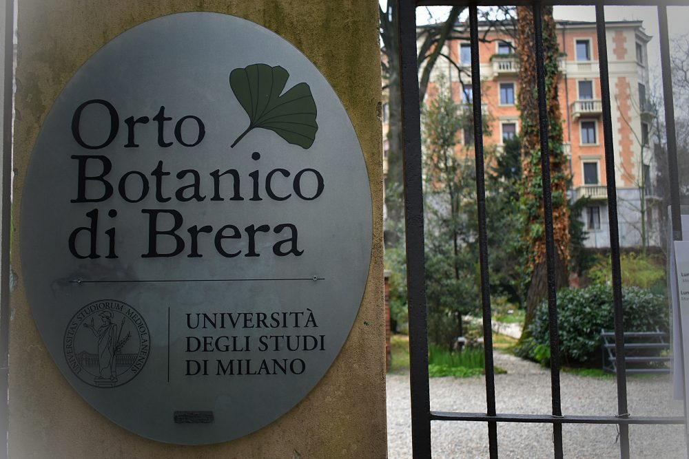 Orto botanico Brera Milano zadarmo