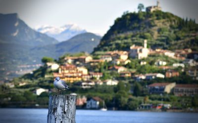 Lago Iseo